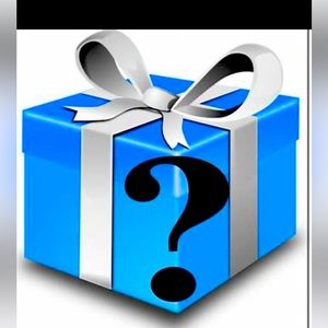 Surprise with one designer item in mystery box included bag/wallet or pouch